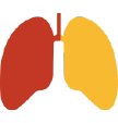 Spirometrie (kleine Lungenfunktion)